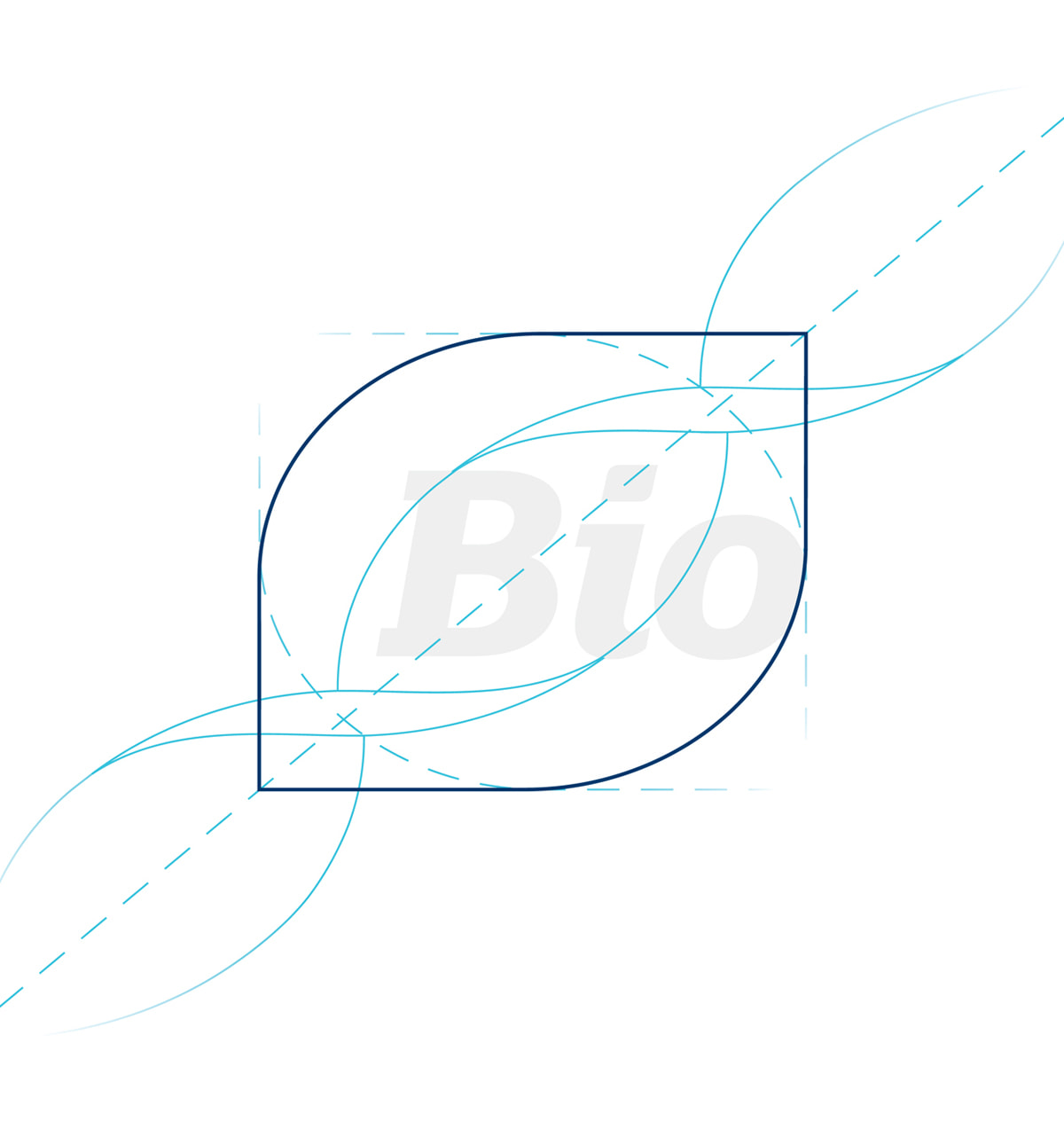 BIO Logo Drawing