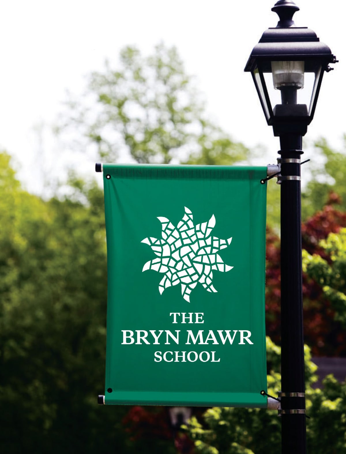 Bry Mawr Banner