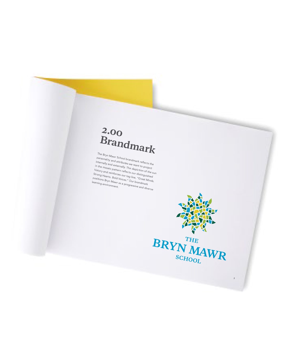 Bry Mawr Brand Guide Cover